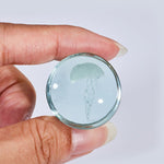 Abyssal Bloom|Clear Sea bloom Plug (2Pcs) - AKAK BODYJEWELRY - ear - tunnel