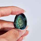 Abyssal Bloom|Cosmic Spiral Plug (2Pcs) - AKAK BODYJEWELRY - ear - tunnel