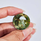 Abyssal Bloom|White Sea bloom Plug (2Pcs) - AKAK BODYJEWELRY - ear - tunnel