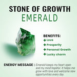 Emerald S925 Silver Stars Shining Tunnel(2Pcs) - AKAK BODYJEWELRY - ear - tunnel