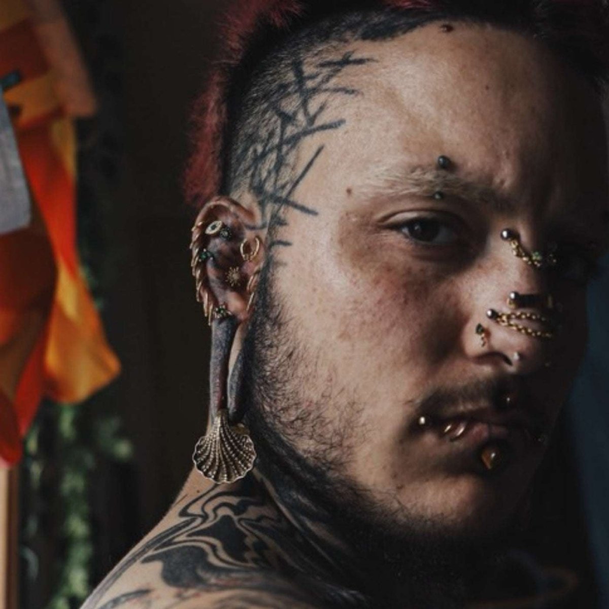 Sirena Shell Ear Weights - AKAK BODYJEWELRY - ear - tunnel