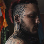 Sirena Shell Ear Weights - AKAK BODYJEWELRY - ear - tunnel