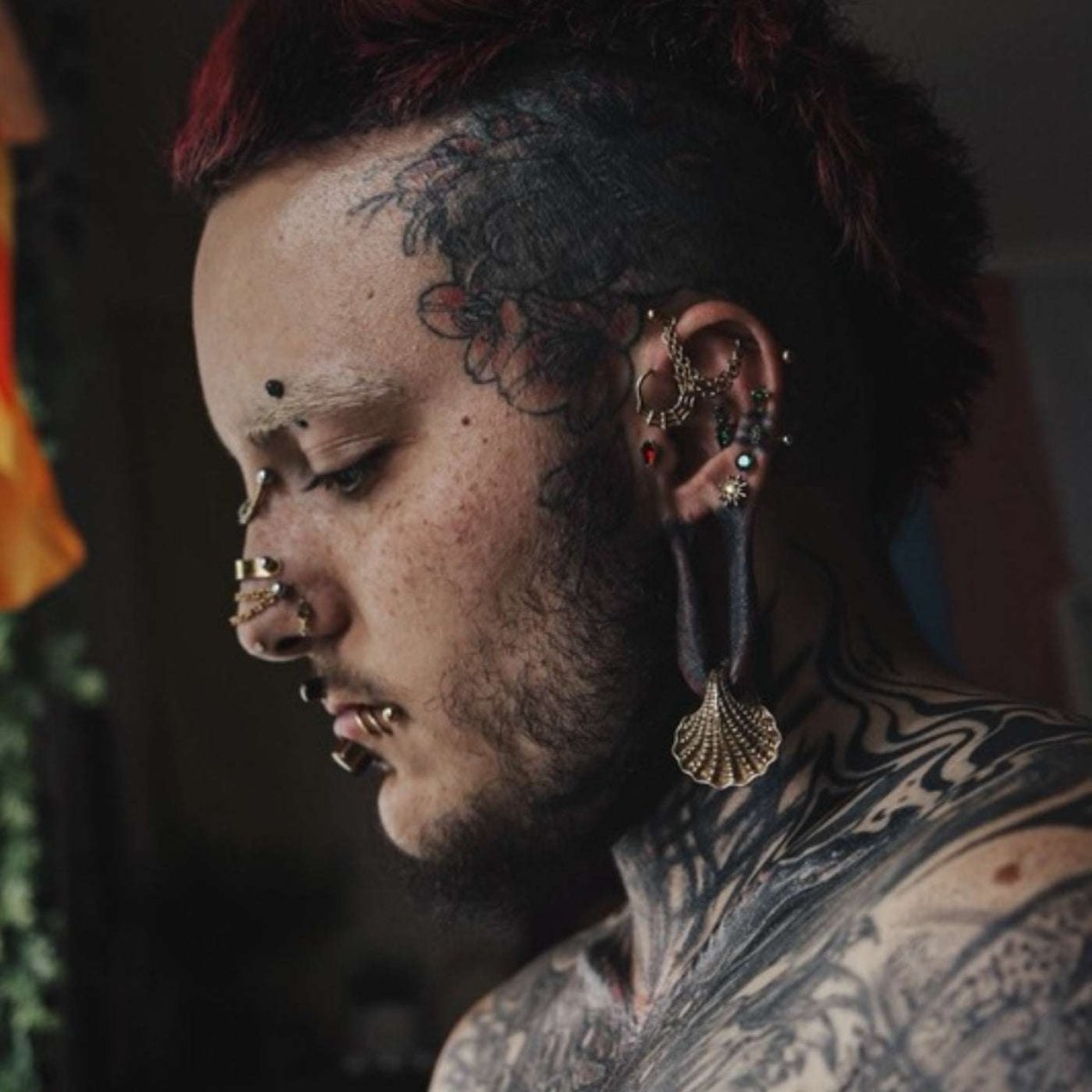 Sirena Shell Ear Weights - AKAK BODYJEWELRY - ear - tunnel