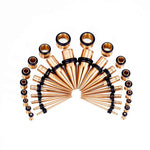 Rose Gold Multicolor Spike Ear Stretching Kit 36Pcs