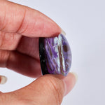Abyssal Bloom｜Eclipse Mist Plug (2Pcs) - AKAK BODYJEWELRY - ear - tunnel